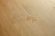 AVSPU40320_Structure_Drops.jpg.jpeg AVSPU40320_Structure_Drops.jpg.jpeg